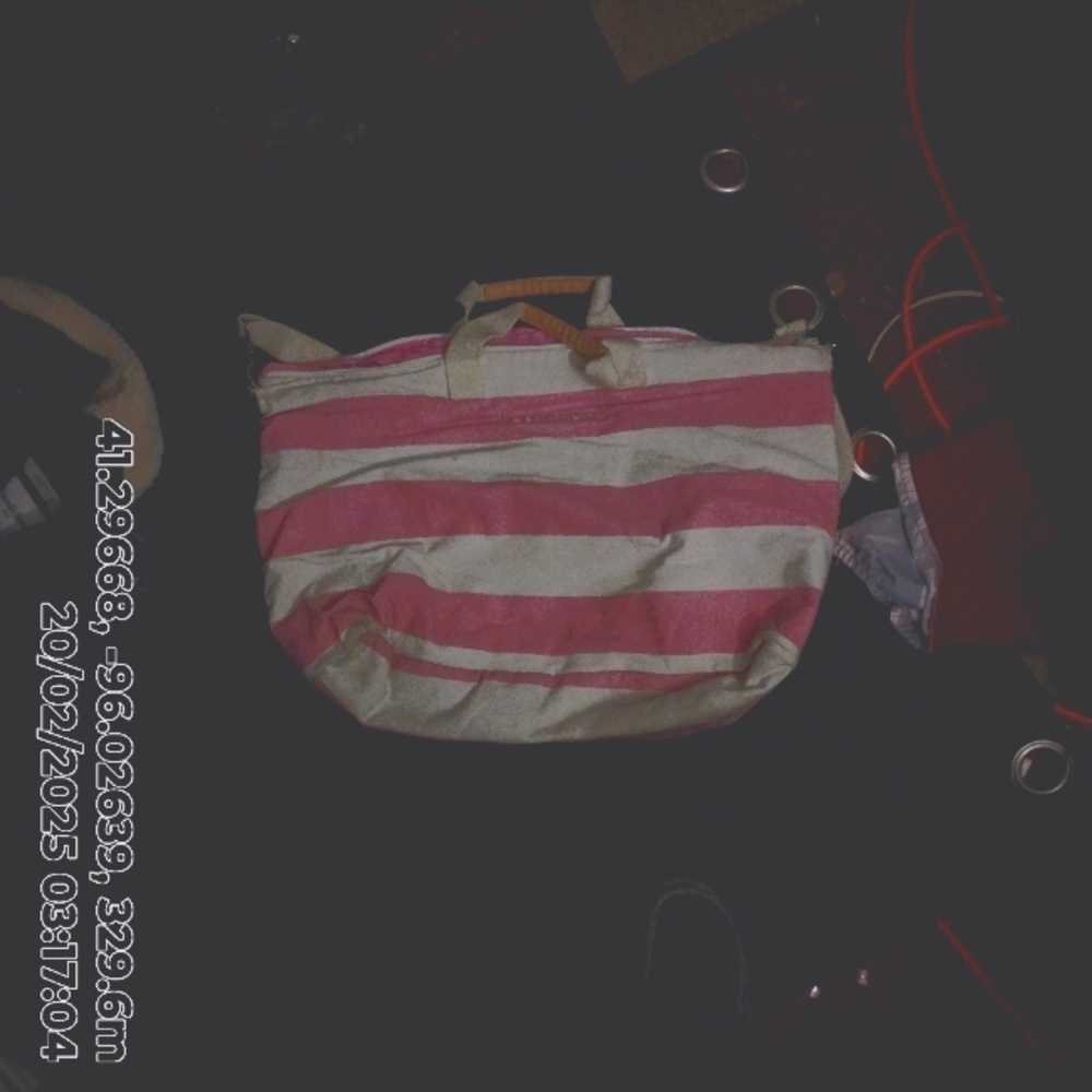 Victoria secret bag
